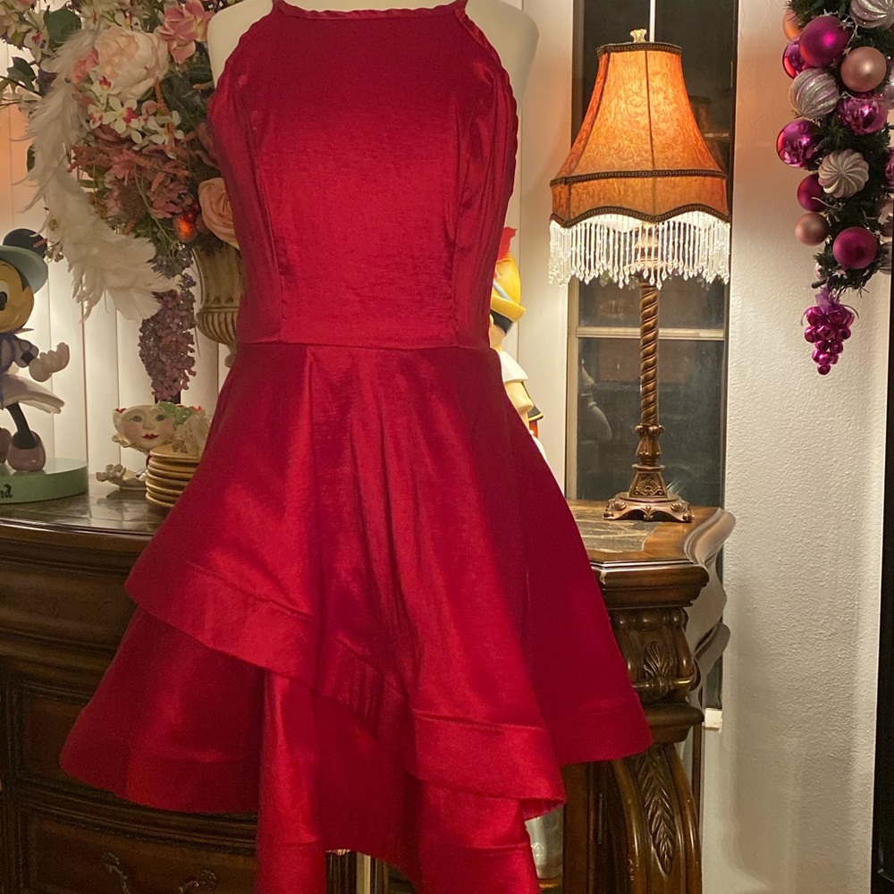 Stunning red elegant dress